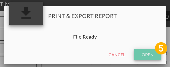 005a_Export_and_Print_a_Report.png